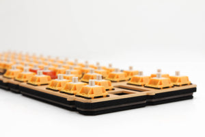 Ikki68 SMRTfoam
